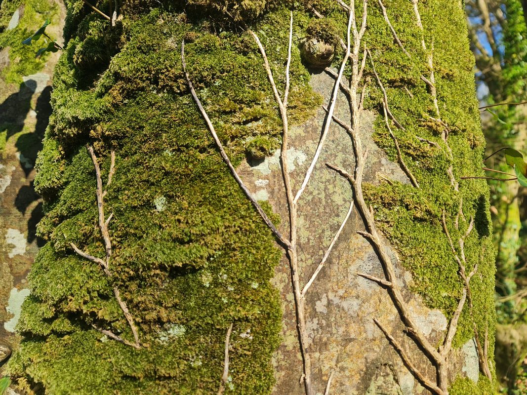 A tree trunk covered in moss, ivy growth